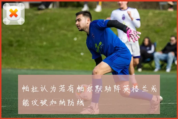 帕杜认为若有帕尔默助阵英格兰或能攻破加纳防线